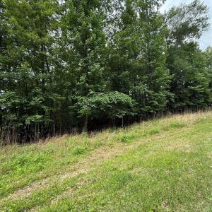 Photo #9 of 3111 Catawba, Great Falls, SC