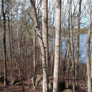 Photo #13 of 3111 Catawba, Great Falls, SC