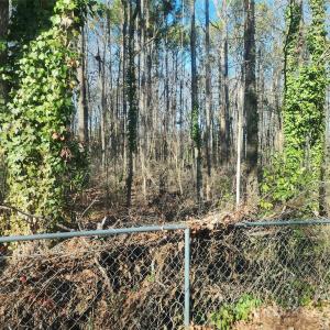 Photo #6 of 629 Powell, Rock Hill, SC