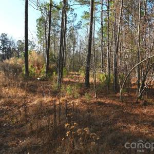 Photo #12 of Mattocks, Maysville, NC