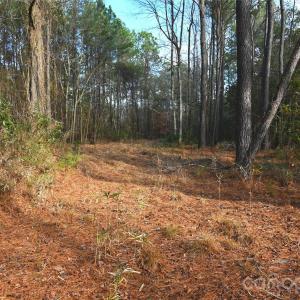 Photo #11 of Mattocks, Maysville, NC