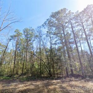 Photo #7 of Mattocks, Maysville, NC