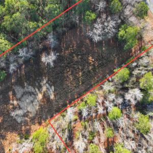 Photo #20 of Mattocks, Maysville, NC