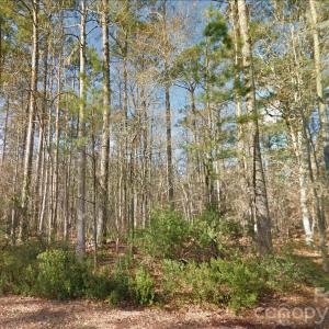 Photo #5 of Mattocks, Maysville, NC