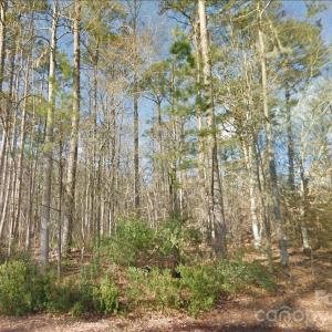 Photo #4 of Mattocks, Maysville, NC