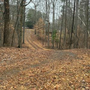 Photo #2 of 231 Creekstone, York, SC