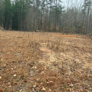 Photo #3 of 231 Creekstone, York, SC