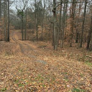 Photo #1 of 231 Creekstone, York, SC