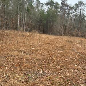 Photo #5 of 231 Creekstone, York, SC