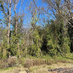 Photo #5 of TBD Blythe Mill, Waxhaw, NC