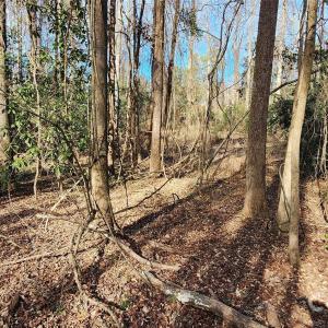 Photo #17 of Rollins, Kershaw, SC