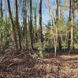 Photo #13 of Rollins, Kershaw, SC