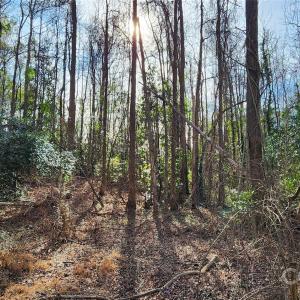 Photo #12 of Rollins, Kershaw, SC