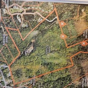 Photo #3 of Table Rock, Pickens, SC