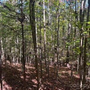 Photo #31 of 5 AC Lot 2 Ernandez, Richburg, SC