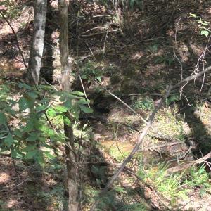 Photo #34 of 5 AC Lot 2 Ernandez, Richburg, SC