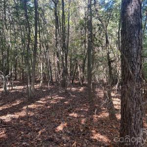 Photo #3 of 5 AC Lot 2 Ernandez, Richburg, SC