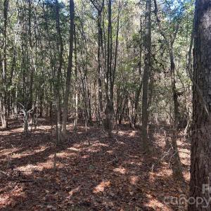 Photo #4 of 5 AC Lot 2 Ernandez, Richburg, SC
