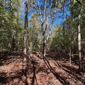 Photo #24 of 5 AC Lot 2 Ernandez, Richburg, SC