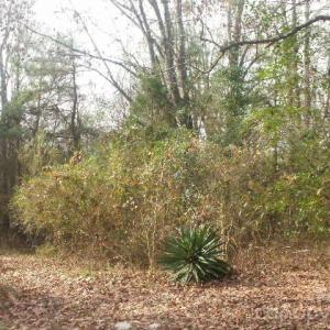 Photo #7 of 433 Parson, Wadesboro, NC