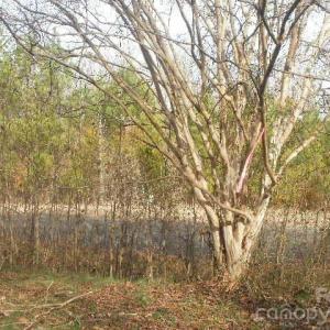 Photo #10 of 433 Parson, Wadesboro, NC