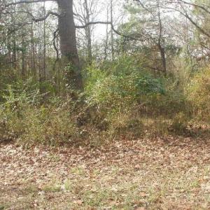 Photo #5 of 433 Parson, Wadesboro, NC