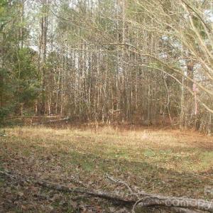 Photo #12 of 433 Parson, Wadesboro, NC