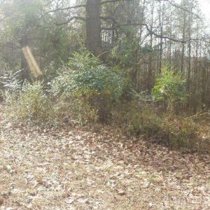 Photo #6 of 433 Parson, Wadesboro, NC