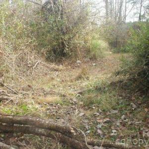 Photo #11 of 433 Parson, Wadesboro, NC