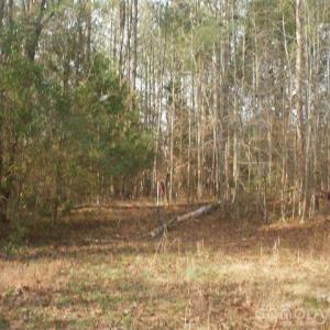 Photo #9 of 433 Parson, Wadesboro, NC