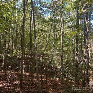 Photo #28 of 5 AC Lot 3 Ernandez, Richburg, SC