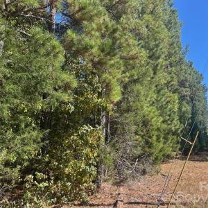 Photo #17 of 5 AC Lot 3 Ernandez, Richburg, SC