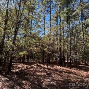 Photo #11 of 5 AC Lot 3 Ernandez, Richburg, SC