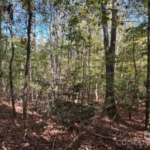 Photo #21 of 5 AC Lot 3 Ernandez, Richburg, SC