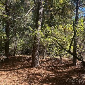 Photo #2 of 5 AC Lot 3 Ernandez, Richburg, SC