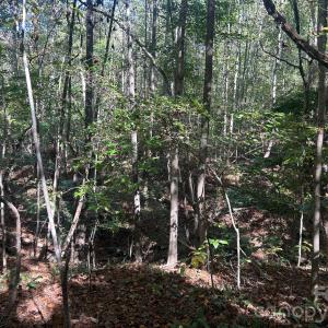 Photo #27 of 5 AC Lot 3 Ernandez, Richburg, SC