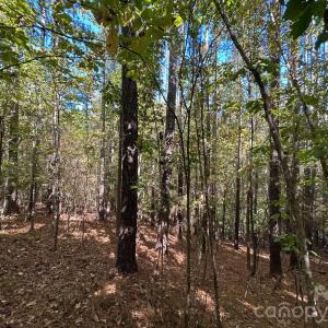 Photo #36 of 5 AC Lot 3 Ernandez, Richburg, SC