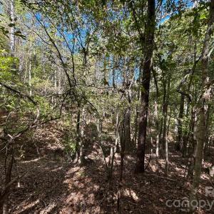 Photo #37 of 5 AC Lot 3 Ernandez, Richburg, SC