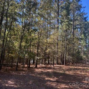 Photo #8 of 5 AC Lot 4 Ernandez, Richburg, SC