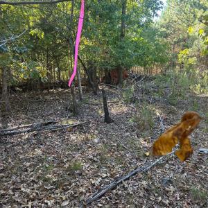 Photo #38 of 5 AC Lot 4 Ernandez, Richburg, SC