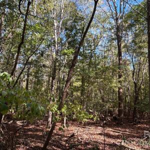 Photo #20 of 5 AC Lot 4 Ernandez, Richburg, SC