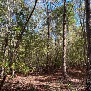 Photo #19 of 5 AC Lot 4 Ernandez, Richburg, SC