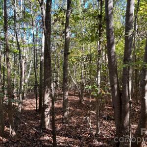 Photo #22 of 5 AC Lot 4 Ernandez, Richburg, SC