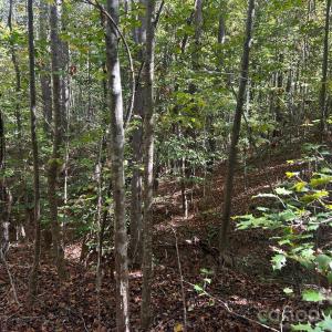 Photo #30 of 5 AC Lot 4 Ernandez, Richburg, SC