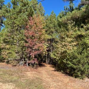 Photo #18 of 5 AC Lot 4 Ernandez, Richburg, SC