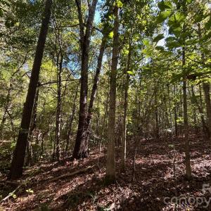 Photo #29 of 5 AC Lot 4 Ernandez, Richburg, SC