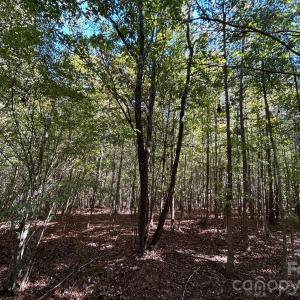 Photo #25 of 5 AC Lot 5 Ernandez, Richburg, SC