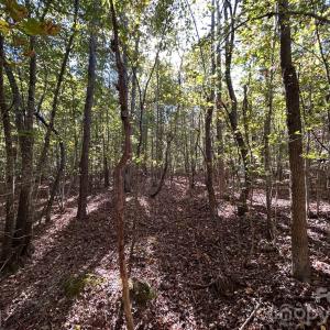 Photo #26 of 5 AC Lot 5 Ernandez, Richburg, SC