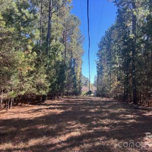 Photo #12 of 5 AC Lot 5 Ernandez, Richburg, SC