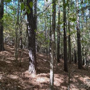 Photo #35 of 5 AC Lot 5 Ernandez, Richburg, SC